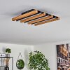 Favorina Deckenpanel LED Naturfarben, Schwarz, 1-flammig Favorina Deckenpanel LED Naturfarben, Schwarz, 1-flammig