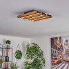 Favorina Deckenpanel LED Naturfarben, Schwarz, 1-flammig Favorina Deckenpanel LED Naturfarben, Schwarz, 1-flammig