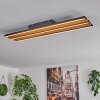 Favorina Deckenpanel LED Naturfarben, Schwarz, 1-flammig