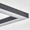 Obo Deckenleuchte LED Schwarz, 1-flammig