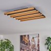 Favorina Deckenpanel LED Naturfarben, Schwarz, 1-flammig