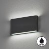 Fischer & Honsel Scone Wandleuchte LED Schwarz, 2-flammig