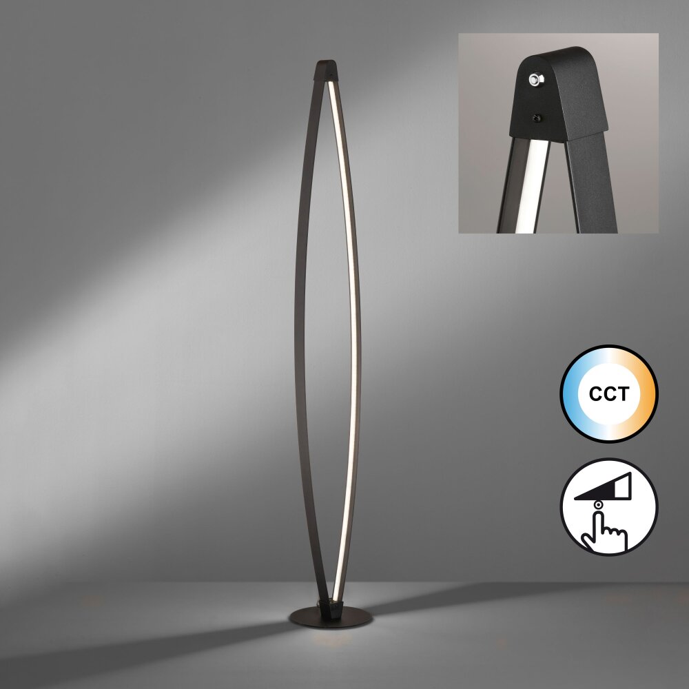 Fischer & Honsel Fenga Stehleuchte LED Schwarz, 1-flammig main product photo