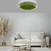 JUST LIGHT GERDA RITUS Deckenleuchte LED Schwarz, 1-flammig