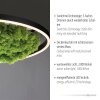 JUST LIGHT GERDA RITUS Deckenleuchte LED Schwarz, 1-flammig