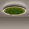 JUST LIGHT GERDA RITUS Deckenleuchte LED Schwarz, 1-flammig