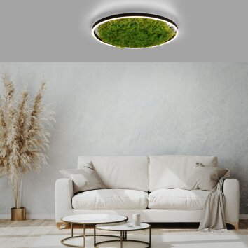 JUST LIGHT GERDA RITUS Deckenleuchte LED Schwarz, 1-flammig