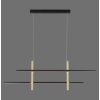 Paul Neuhaus BARRA Pendelleuchte LED Gold, Schwarz, 1-flammig
