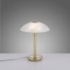 Paul Neuhaus ENOVA Tischleuchte LED Messing, 1-flammig