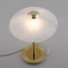 Paul Neuhaus ENOVA Tischleuchte LED Messing, 1-flammig