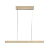 Paul Neuhaus PURE E-MOTION Pendelleuchte LED Gold, 1-flammig, Fernbedienung