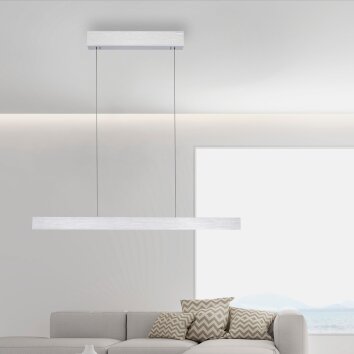 Paul Neuhaus PURE E-MOTION Pendelleuchte LED Silber, 1-flammig, Fernbedienung