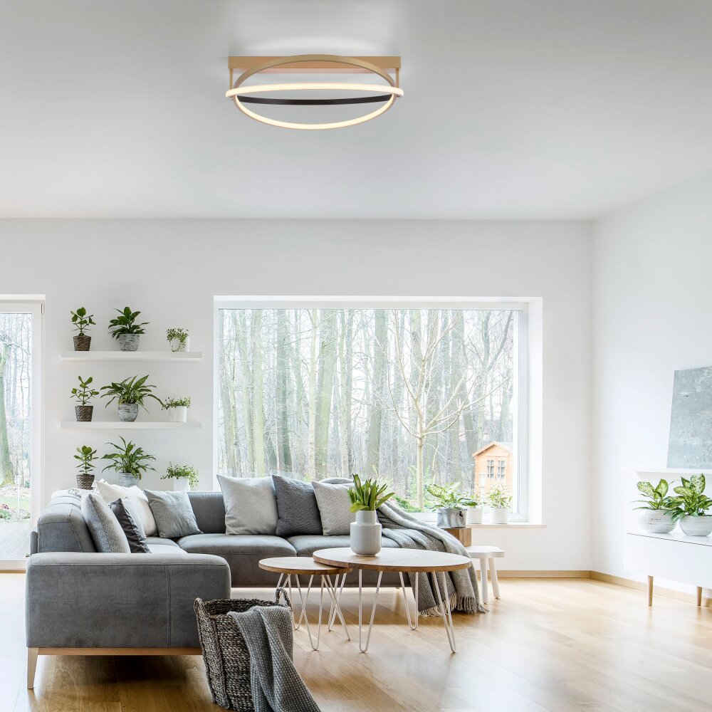 Paul Neuhaus Q-BELUGA Deckenleuchte LED Gold, 1-flammig, Fernbedienung main product photo