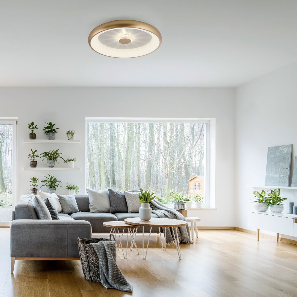 Leuchten Direkt VERTIGO Deckenleuchte LED Gold, 1-flammig, Fernbedienung main product photo
