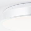 Brilliant Livius Deckenleuchte LED Silber, 1-flammig