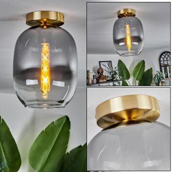 Apedo Deckenleuchte Glas 20 cm Messing, 1-flammig