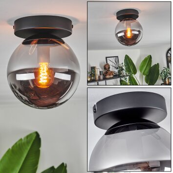 Gastor Deckenleuchte Glas 15 cm Rauchfarben, 1-flammig