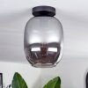Apedo Deckenleuchte Glas 20 cm Rauchfarben, 1-flammig