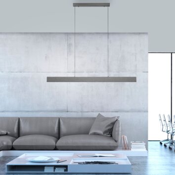 Paul Neuhaus NANIA Pendelleuchte LED Grau, 1-flammig