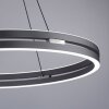 Paul Neuhaus PURE E-LOOP Pendelleuchte LED Grau, 2-flammig, Fernbedienung