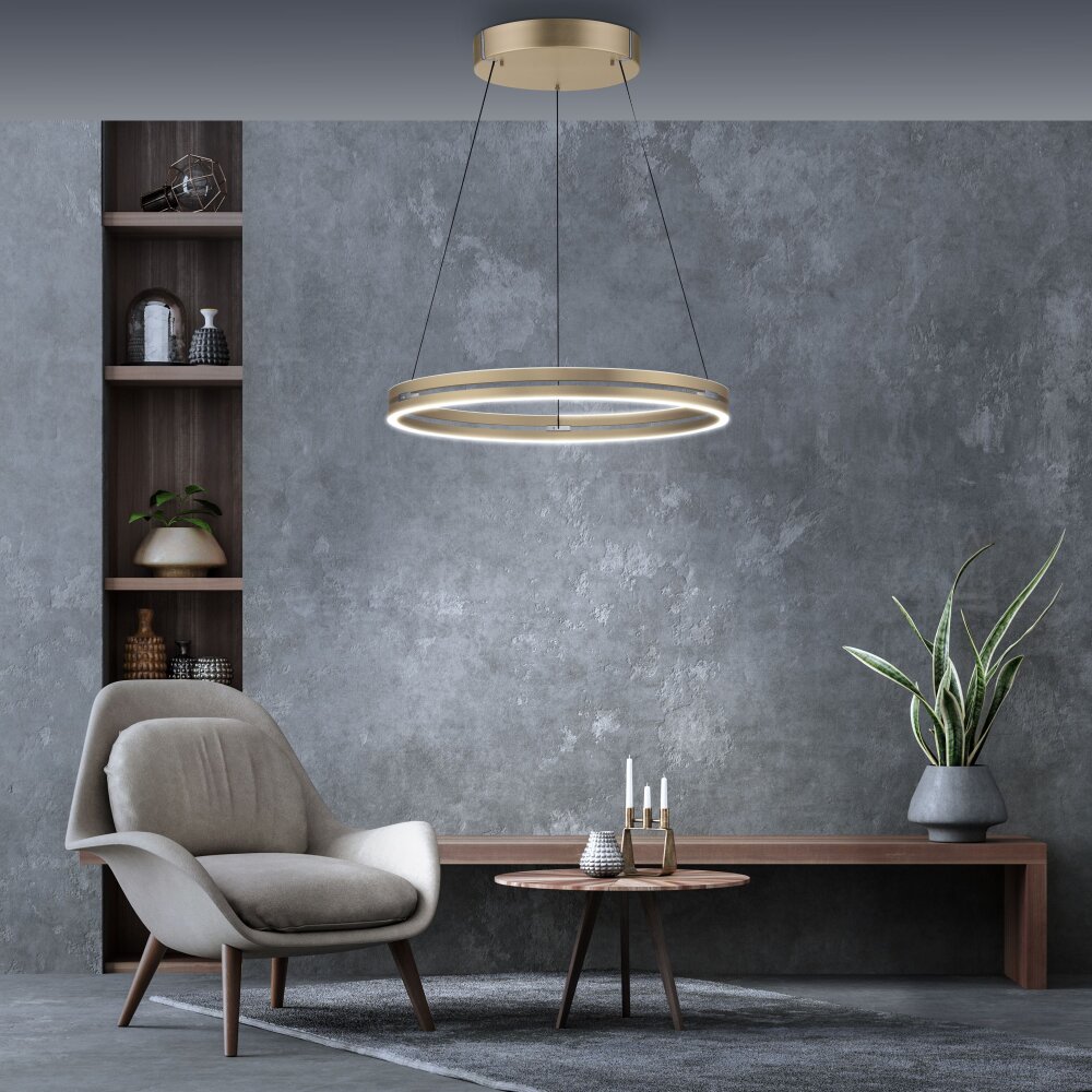 Paul Neuhaus PURE E-LOOP Pendelleuchte LED Gold, 2-flammig, Fernbedienung main product photo