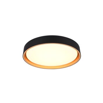 Reality FELIS Deckenleuchte LED Schwarz-Gold, 1-flammig, Fernbedienung Reality FELIS Deckenleuchte LED Schwarz-Gold, 1-flammig, Fernbedienung