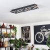 Taboneira Deckenleuchte LED Naturfarben, Schwarz, 3-flammig