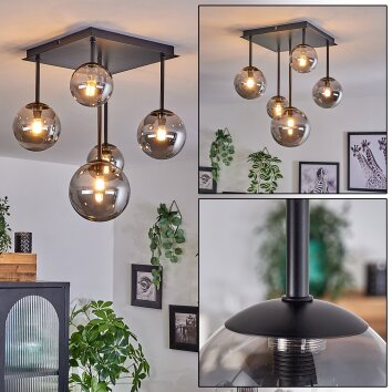 Chehalis Deckenleuchte Glas 10 cm, 12 cm, 15 cm Rauchfarben, 5-flammig Chehalis Deckenleuchte Glas 10 cm, 12 cm, 15 cm Rauchfarben, 5-flammig