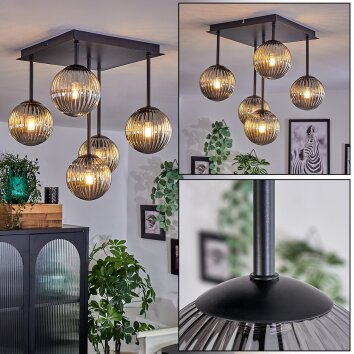 Chehalis Deckenleuchte Glas 12 cm Rauchfarben, 5-flammig Chehalis Deckenleuchte Glas 12 cm Rauchfarben, 5-flammig