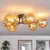 Chehalis Deckenleuchte Glas 15 cm Gold, Schwarz, 6-flammig