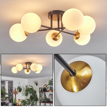 Chehalis Deckenleuchte Glas 12 cm Gold, Schwarz, 6-flammig Chehalis Deckenleuchte Glas 12 cm Gold, Schwarz, 6-flammig