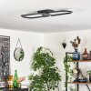 Silla Deckenleuchte LED Schwarz, 1-flammig