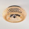 Bauro Deckenventilator Schwarz, 4-flammig, Fernbedienung
