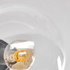 Gastor Deckenleuchte Glas 15 cm Bernsteinfarben, Klar, Rauchfarben, 6-flammig