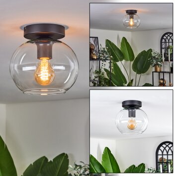 Apedo Deckenleuchte Glas 20 cm Klar, 1-flammig
