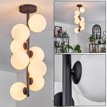 Chehalis Deckenleuchte Glas 12 cm Weiß, 8-flammig Chehalis Deckenleuchte Glas 12 cm Weiß, 8-flammig