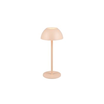 Reality RICARDO Tischleuchte LED Beige, 1-flammig