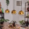 Ripoll Hängeleuchte Glas 25 cm Gold, Klar, 3-flammig