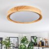 Sofo Deckenleuchte LED Weiß, 1-flammig Sofo Deckenleuchte LED Weiß, 1-flammig