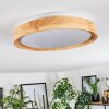 Sofo Deckenleuchte LED Weiß, 1-flammig Sofo Deckenleuchte LED Weiß, 1-flammig
