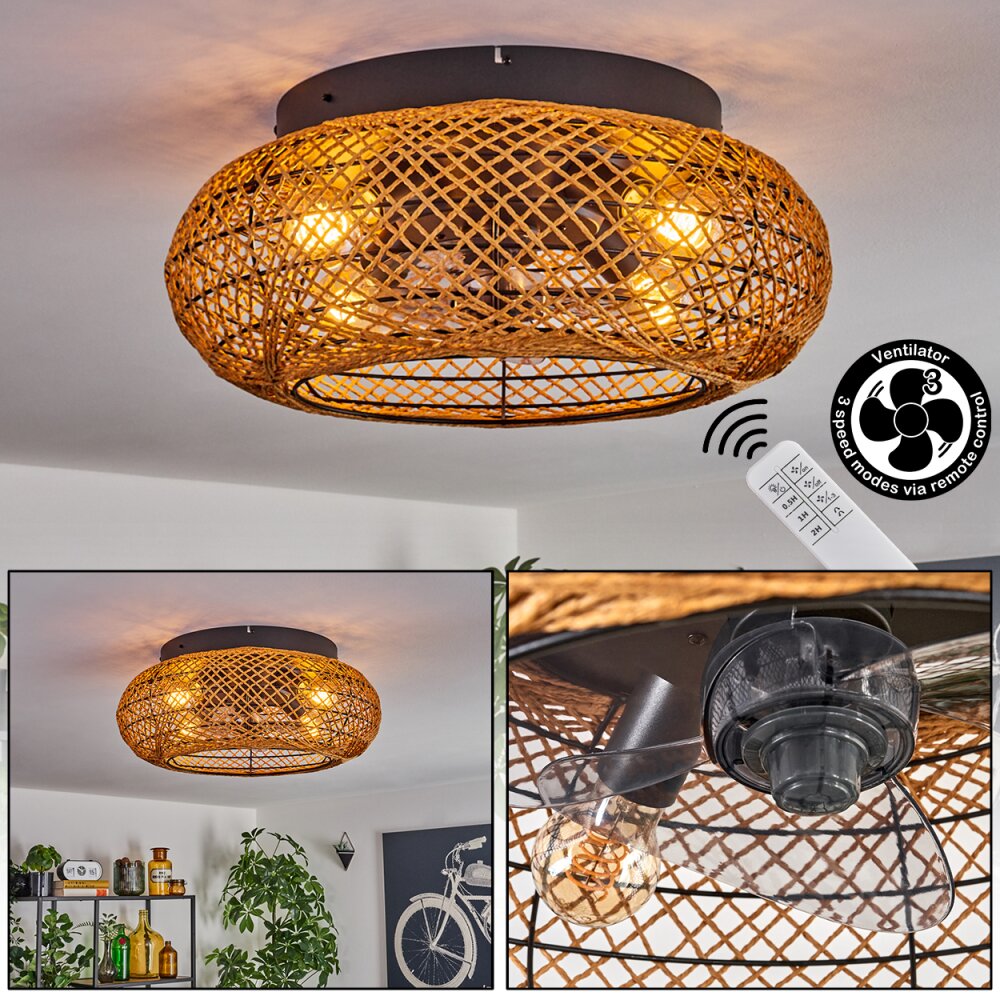 Fallhagen Deckenventilator Schwarz, 4-flammig, Fernbedienung main product photo