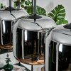 Lauden Pendelleuchte Glas 20cm Schwarz, 5-flammig