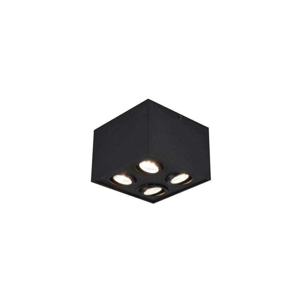 Trio Leuchten BISCUIT Deckenleuchte Schwarz, 4-flammig main product photo
