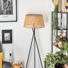 Barcos Stehleuchte 45 cm beige, Naturfarben, 1-flammig