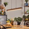 Carbellino Pendelleuchte LED Weiß, 1-flammig