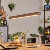 Carbellino Pendelleuchte Dunkelbraun, Schwarz, 1-flammig