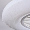 Benesal Deckenventilator Weiß, 1-flammig, Fernbedienung