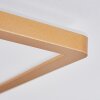 Storselet Deckenpanele LED Gold, 1-flammig