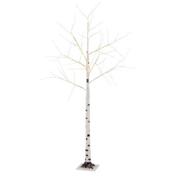 Globo Birch Außenleuchte LED Schwarz, Weiß, 105-flammig Globo Birch Außenleuchte LED Schwarz, Weiß, 105-flammig