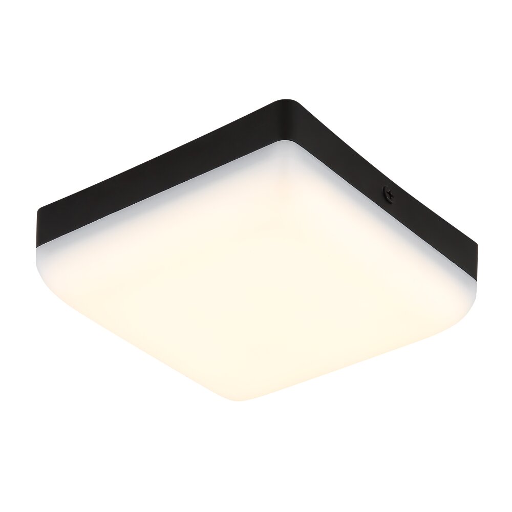 Globo Matthew Deckenleuchte LED Schwarz, 1-flammig main product photo